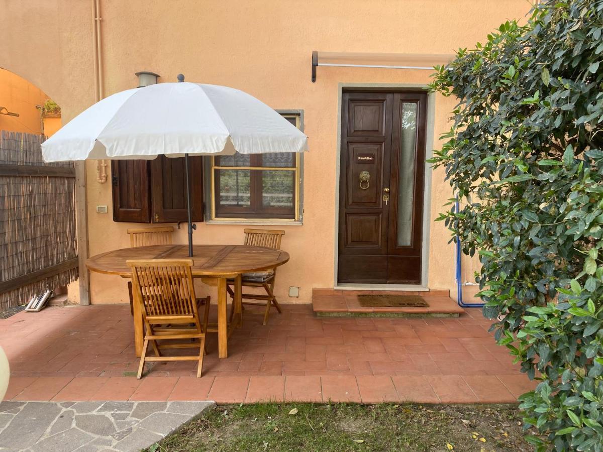 Agriturismo Terranera Scansano Exterior photo