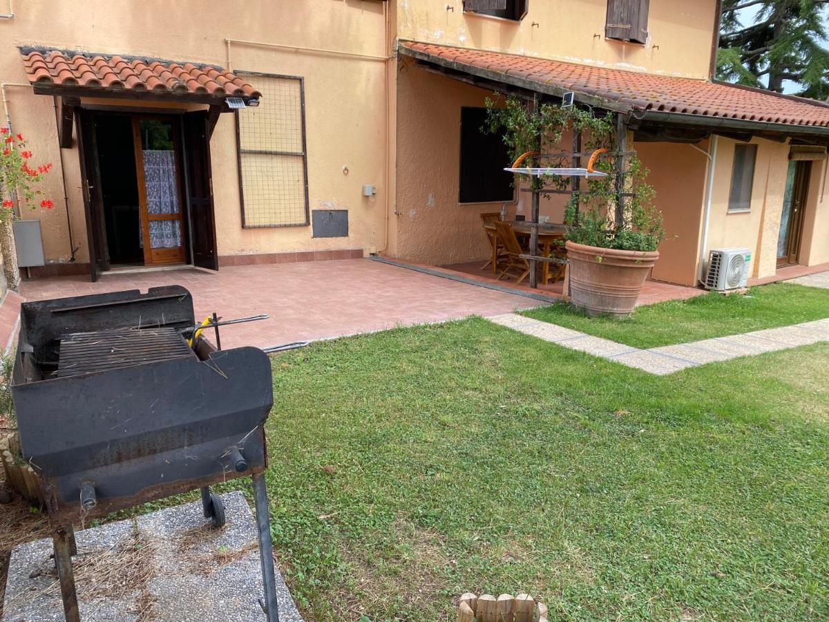 Agriturismo Terranera Scansano Exterior photo