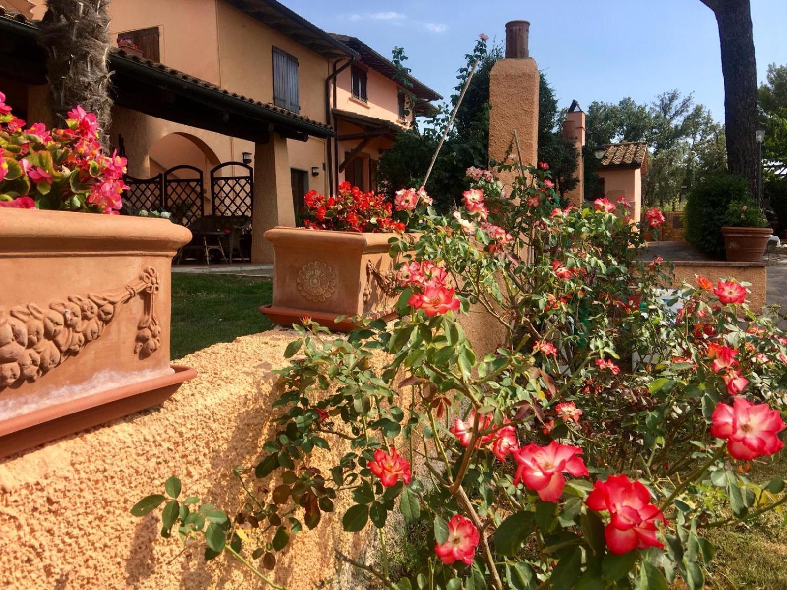 Agriturismo Terranera Scansano Exterior photo