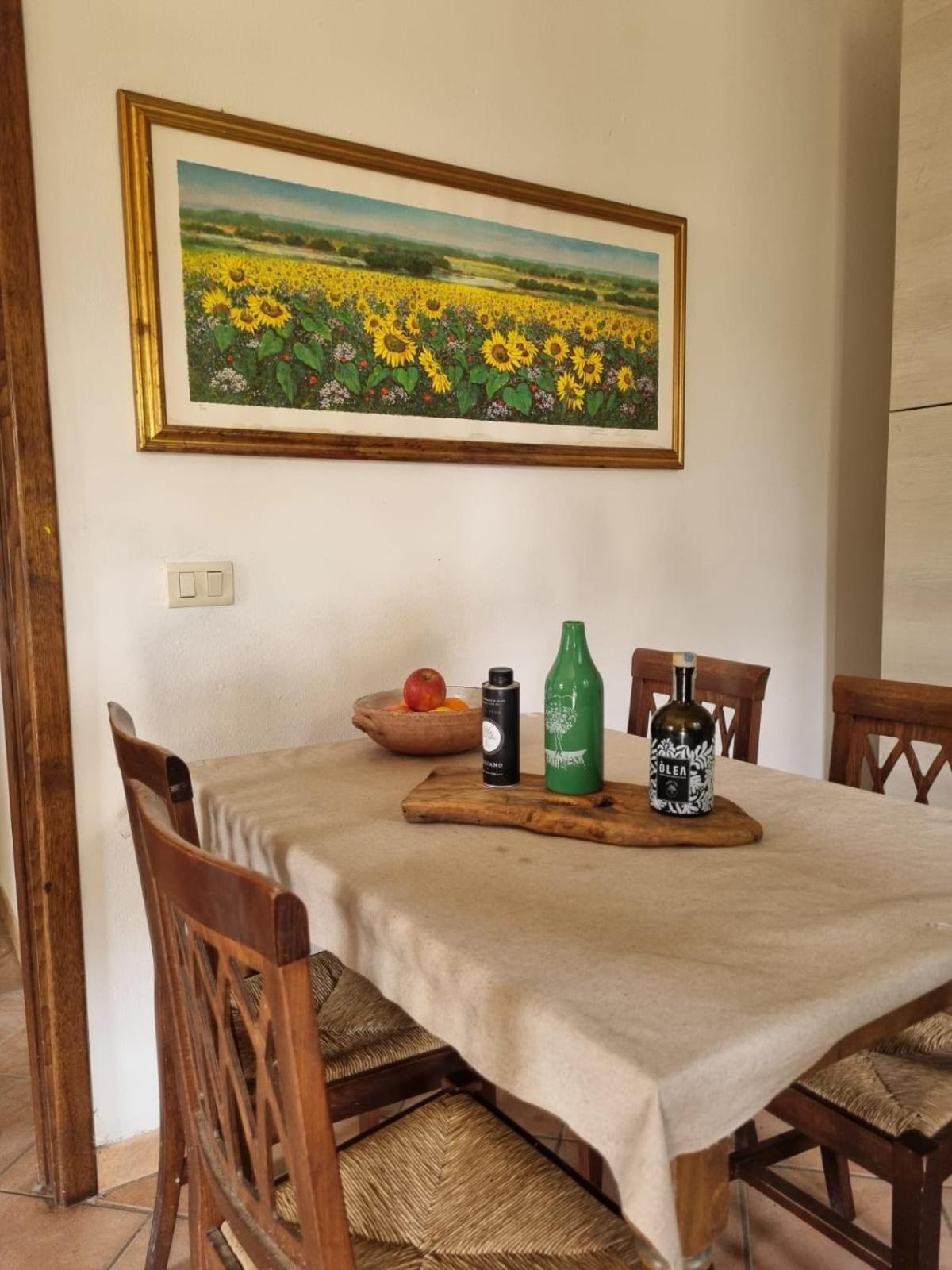 Agriturismo Terranera Scansano Exterior photo